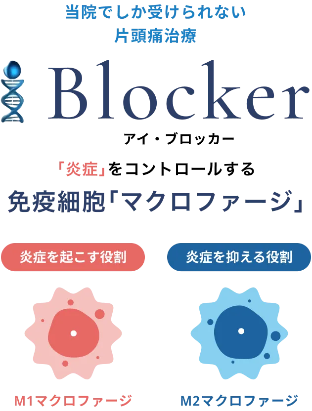 当院でしか受けられない片頭痛治療【i-Blocker】（アイ・ブロッカー）「炎症」をコントロールする免疫細胞「マクロファージ」