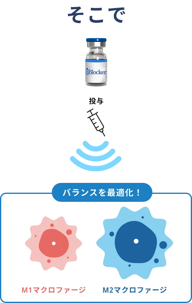 そこでi-Blockerを投与し、M1マクロファージとM2マクロファージのバランスを調整して頭痛の原因である炎症を抑制させます。