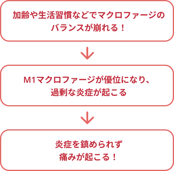加齢や生活習慣などにより、マクロファージの活性化が不十分でM1M2バランスが崩れる！→過剰な炎症が起こる！→炎症を鎮められず痛みが起こる！